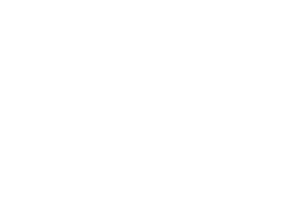 BLINK